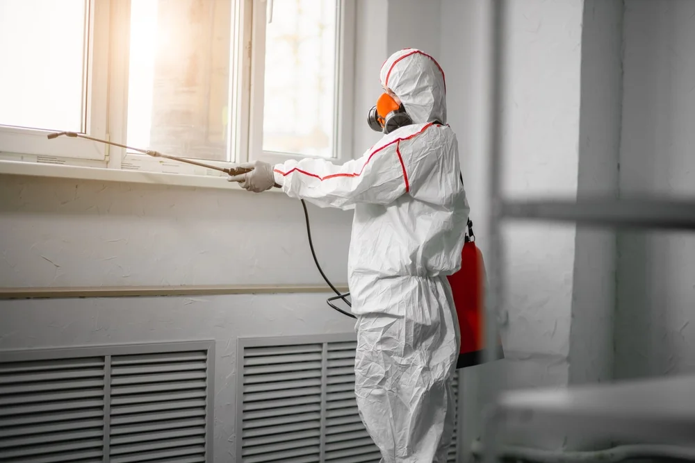 Professional mold remediation services in Sarasota, FL
